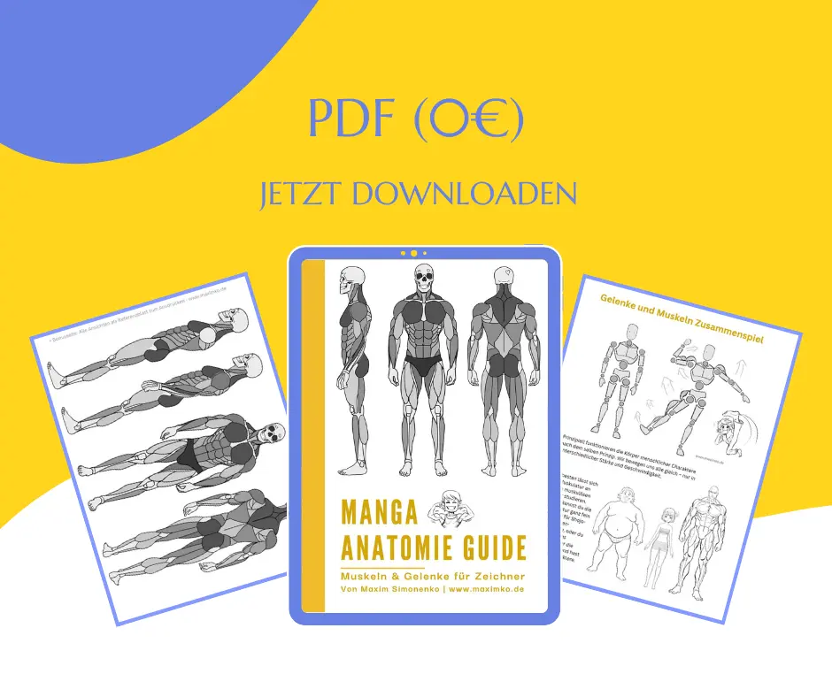 Manga Anatomie Guide: Übersicht der Inhalte der 8-seitigen PDF