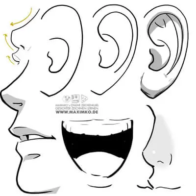 Manga Zeichenkurs Modul 3 Bild Nase, Ohren und Mund zeichnen lernen