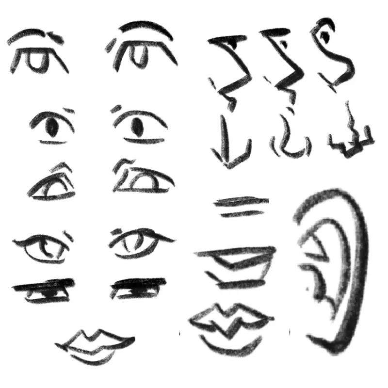 Augen, Ohren, Nase und Mund einfach zeichnen – Grundbausteine des Portraits für Anfänger