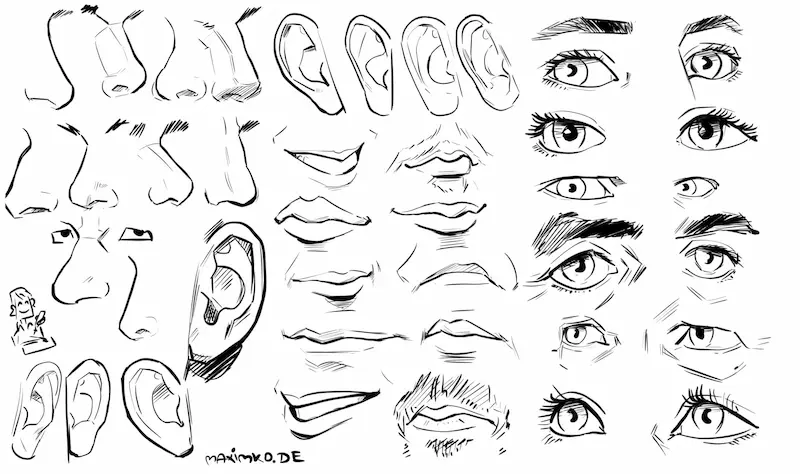 Gesichtspartien zum Portrait zeichnen lernen: Augen, Nase, Mund und Ohren – Übungsblatt von Maxim Simonenko