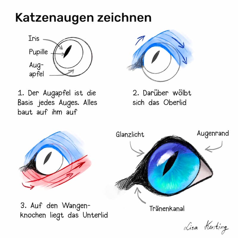 Lerne wie man Katzen Augen lebendig zeichnet in vier Schritten um besser Tiere zeichnen zu lernen