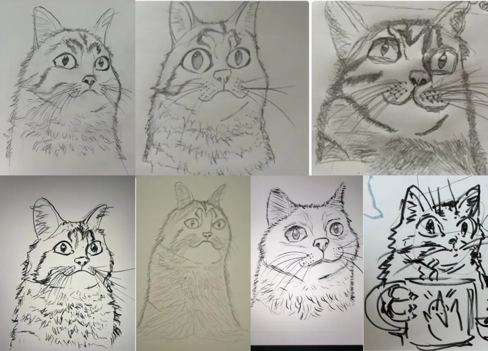Sieben Teilnehmer Zeichnungen von der Katze aus dem Video Tutorial als Collage mit Anfängern und Fortgeschrittenen