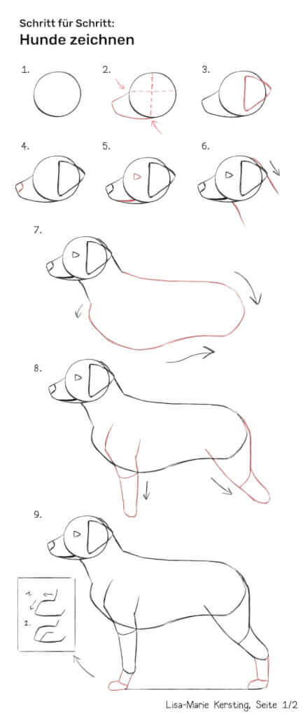 Hund von der Seite ganz einfach zeichnen lernen Schritt 1 bis 9 Konstruktion, Position Ohren, Schnauze, Augen und Beine