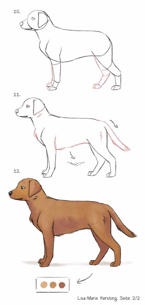 Hund von der Seite ganz einfach zeichnen lernen Schritt 10 bis 13 fell und farbe, sowie hintere Beine und Pfoten von Lisa Kersting