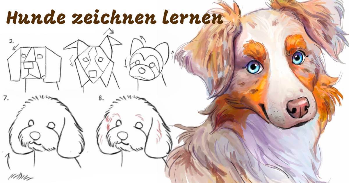 Hund zeichnen lernen: 4 Anleitungen vom Anfänger bis Profi
