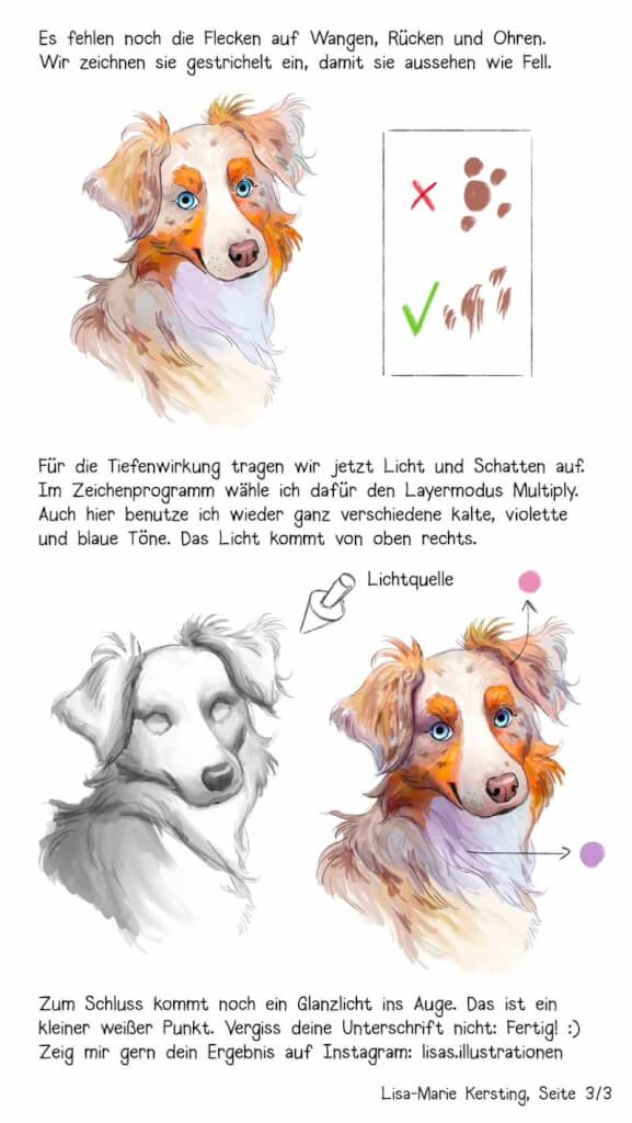 schaeferhund zeichnen schritt 13 und 14 glanzlicht im auge schatten licht fell maserung malen