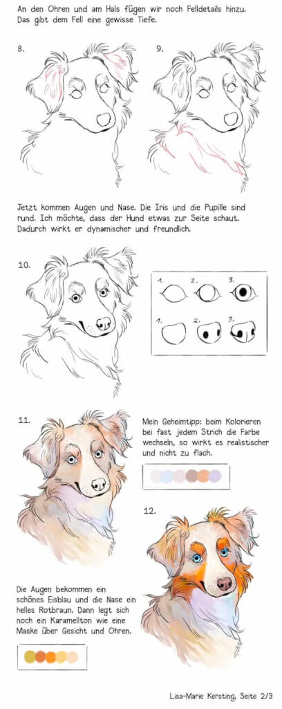 schaeferhund zeichnen schritt 8 bis 12 augen nase fell ausarbeiten basisfarbe hinzufuegen mit Tipps zum Zeichnen von Augen und Nase sowie Farbe