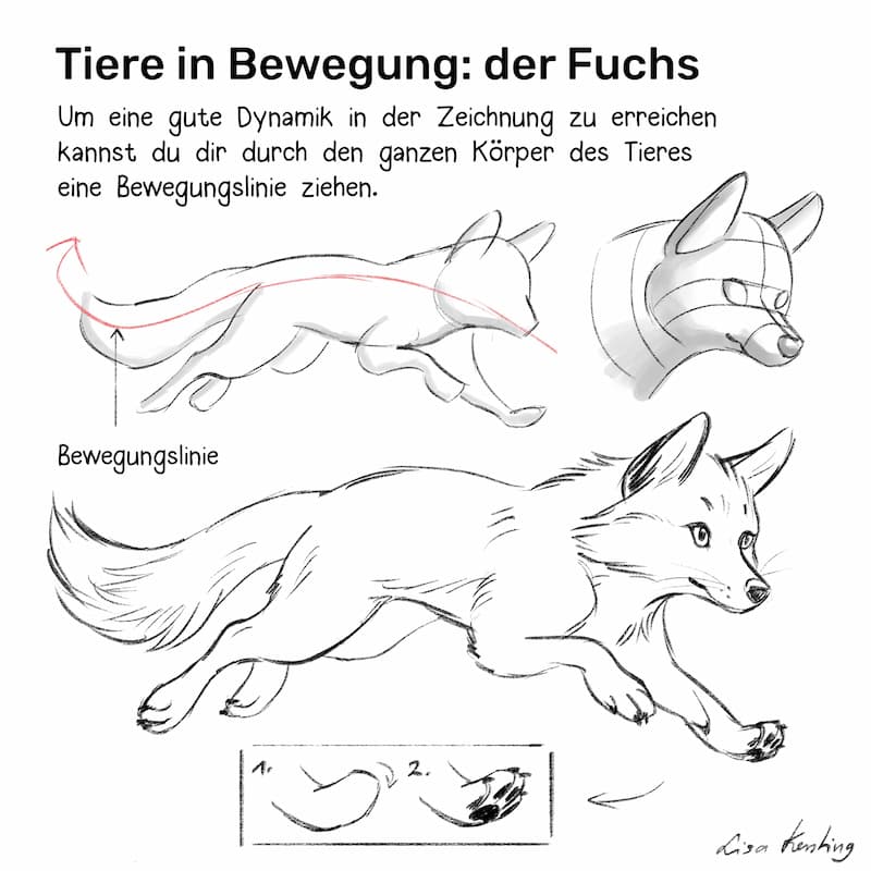 Anleitung wie man den Fuchs in Bewegung zeichnet mit dynamischer Linie und Konstruktion Schritt für Schritt, mit Pfoten Tipps