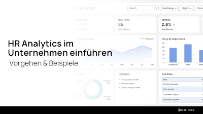 HR Analytics im Unternehmen einführen: Vorgehen & Beispiele