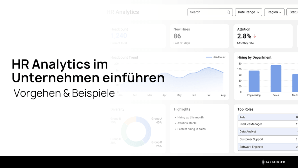 HR Analytics im Unternehmen einführen: Vorgehen & Beispiele