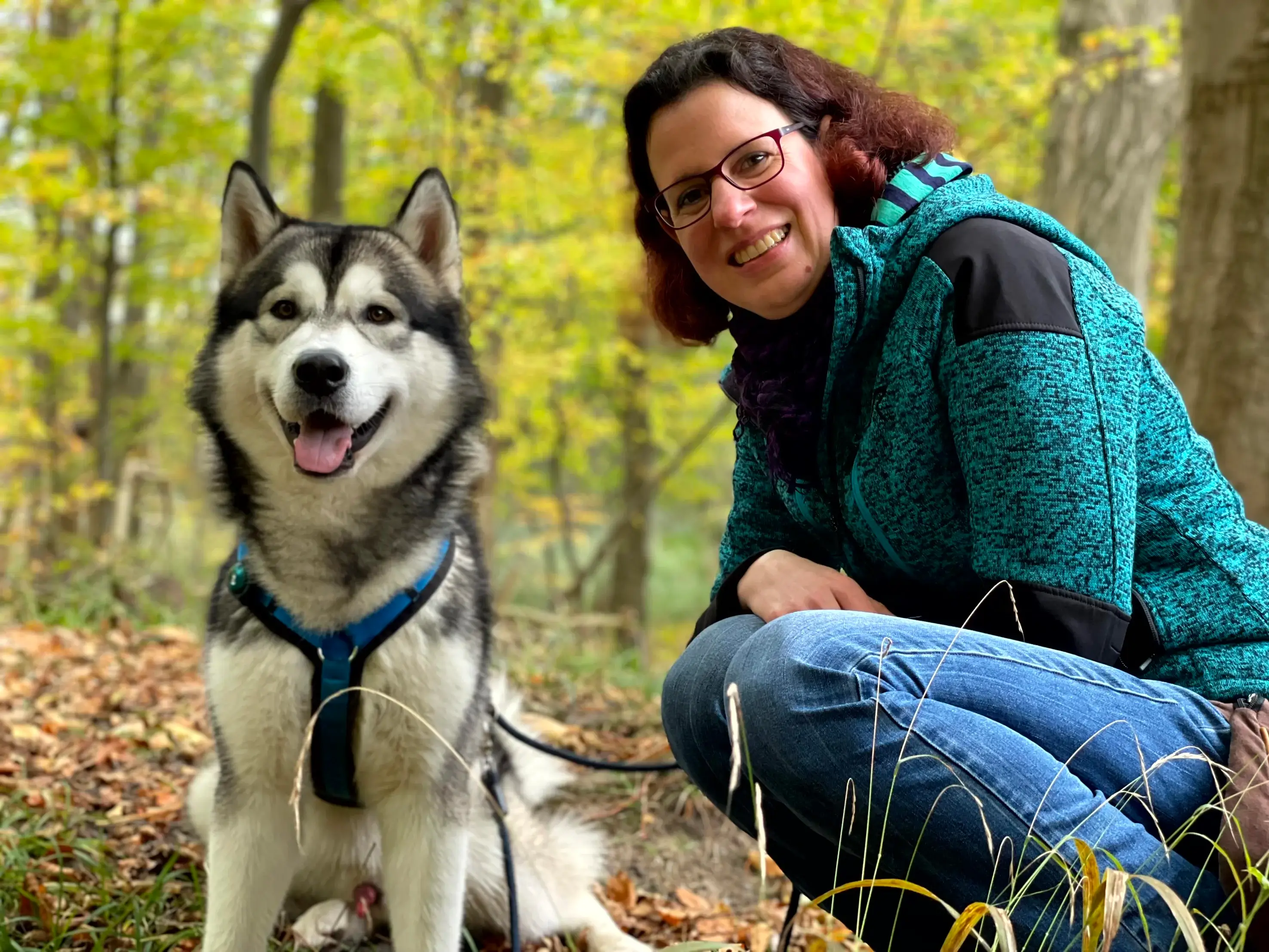 Hundefutter selber machen