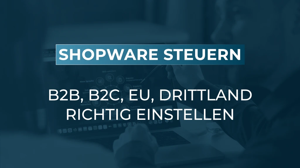 MwSt in Shopware 6 richtig einstellen: B2B, B2C, EU-Ausland und Drittländer
