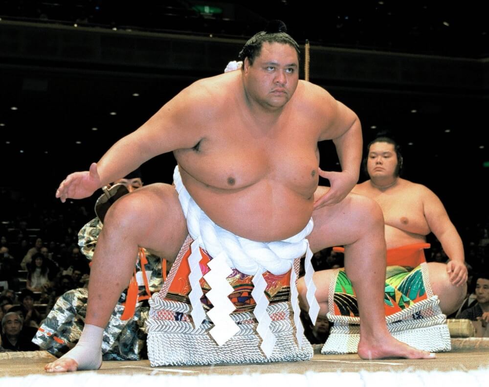 yokozuna
