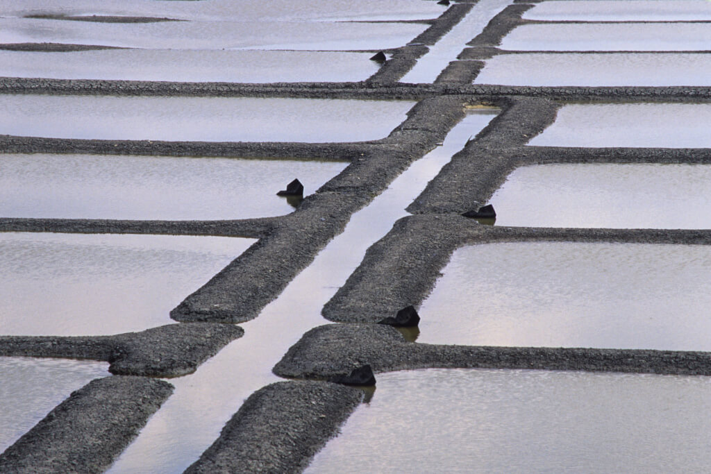 Meersalzgewinnung 2001 04 1 LeCroisic 003