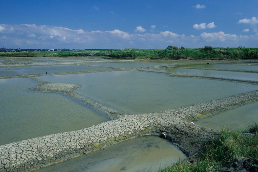 Meersalzgewinnung Warum ist das Meer salzig 102