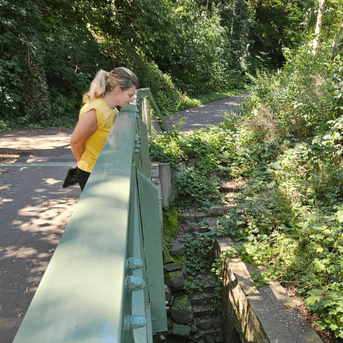 Bruecke mobil GRIMMA