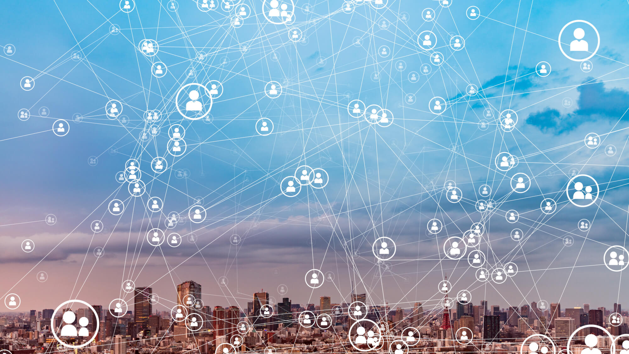 Network Leadership and Business Model Innovation