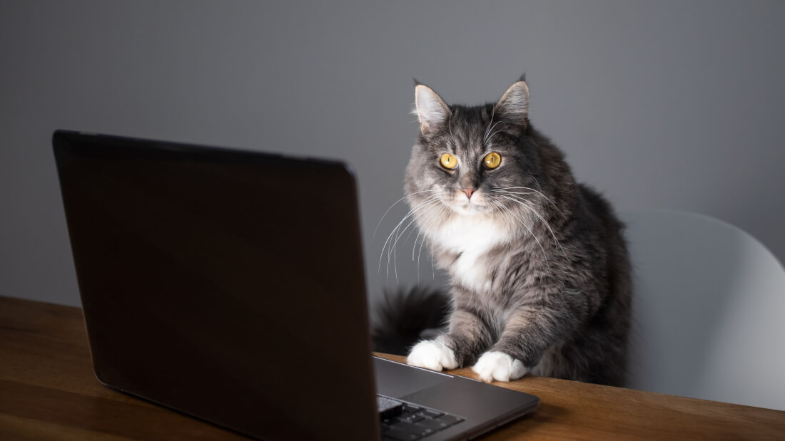 KI, Kreativität & der Mythos vom Überflüssigwerden