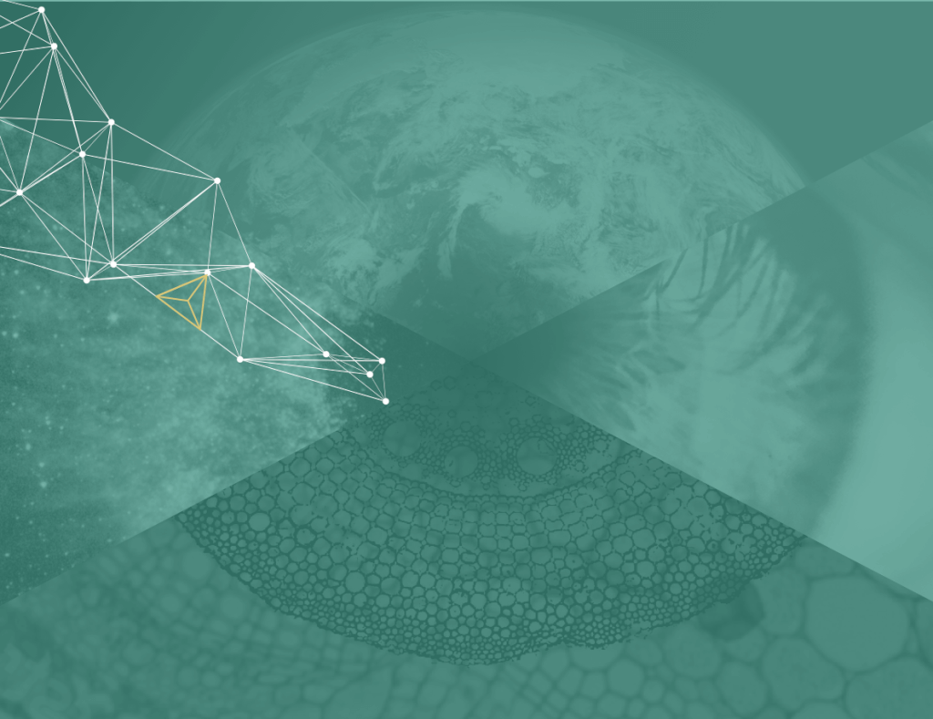 Transformational Coaching