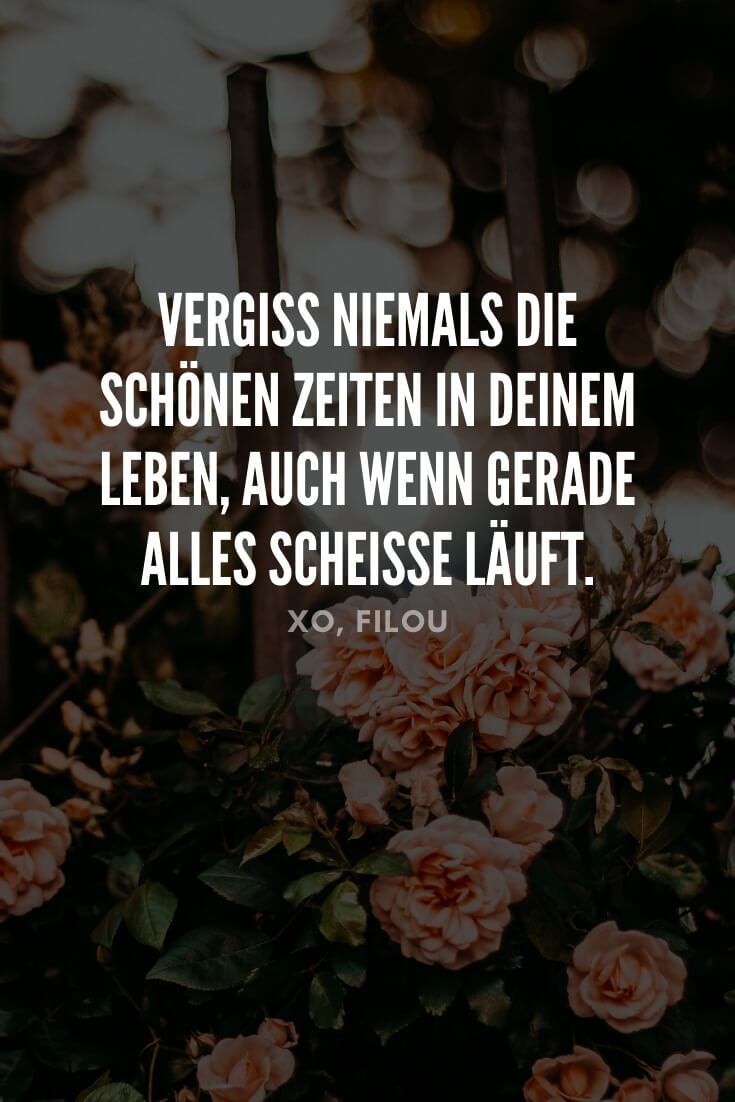 Get Lebensweisheiten mit rosen For Android Free Lebensweisheiten Mit Rosen