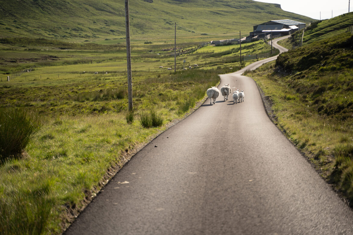 Mountainbike Roadtrip Schottland