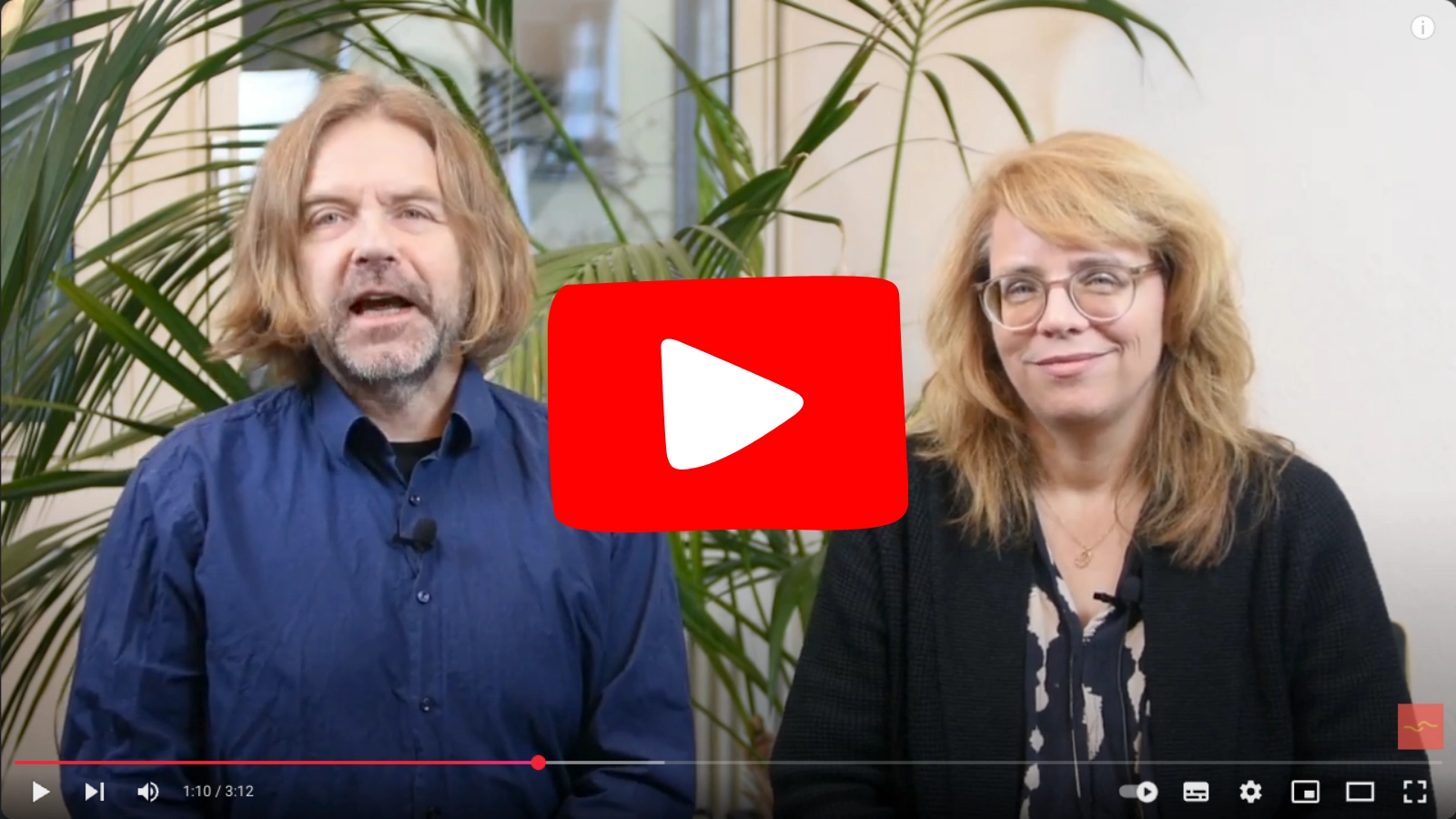 RheinMediation YouTube Channel