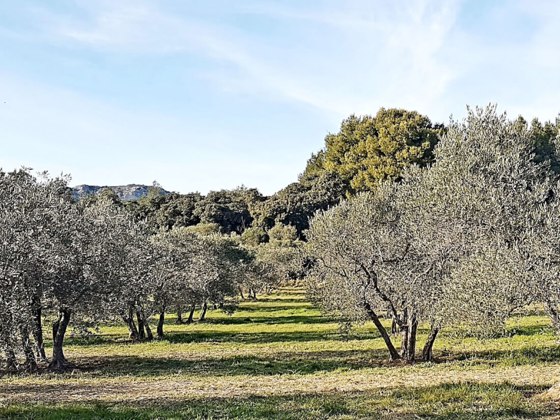 Let's talk about the beauty of Provence