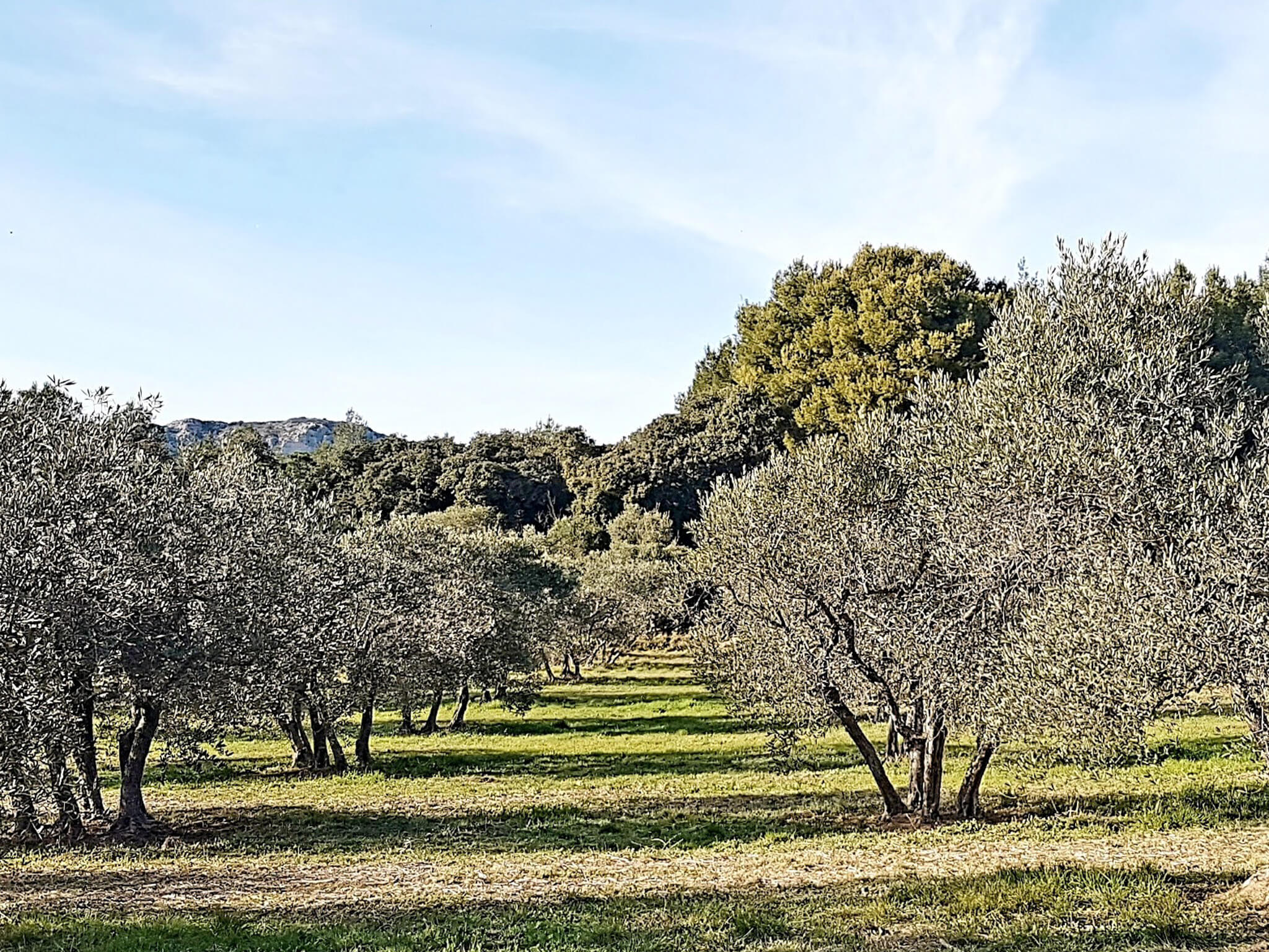 Let's talk about the beauty of Provence