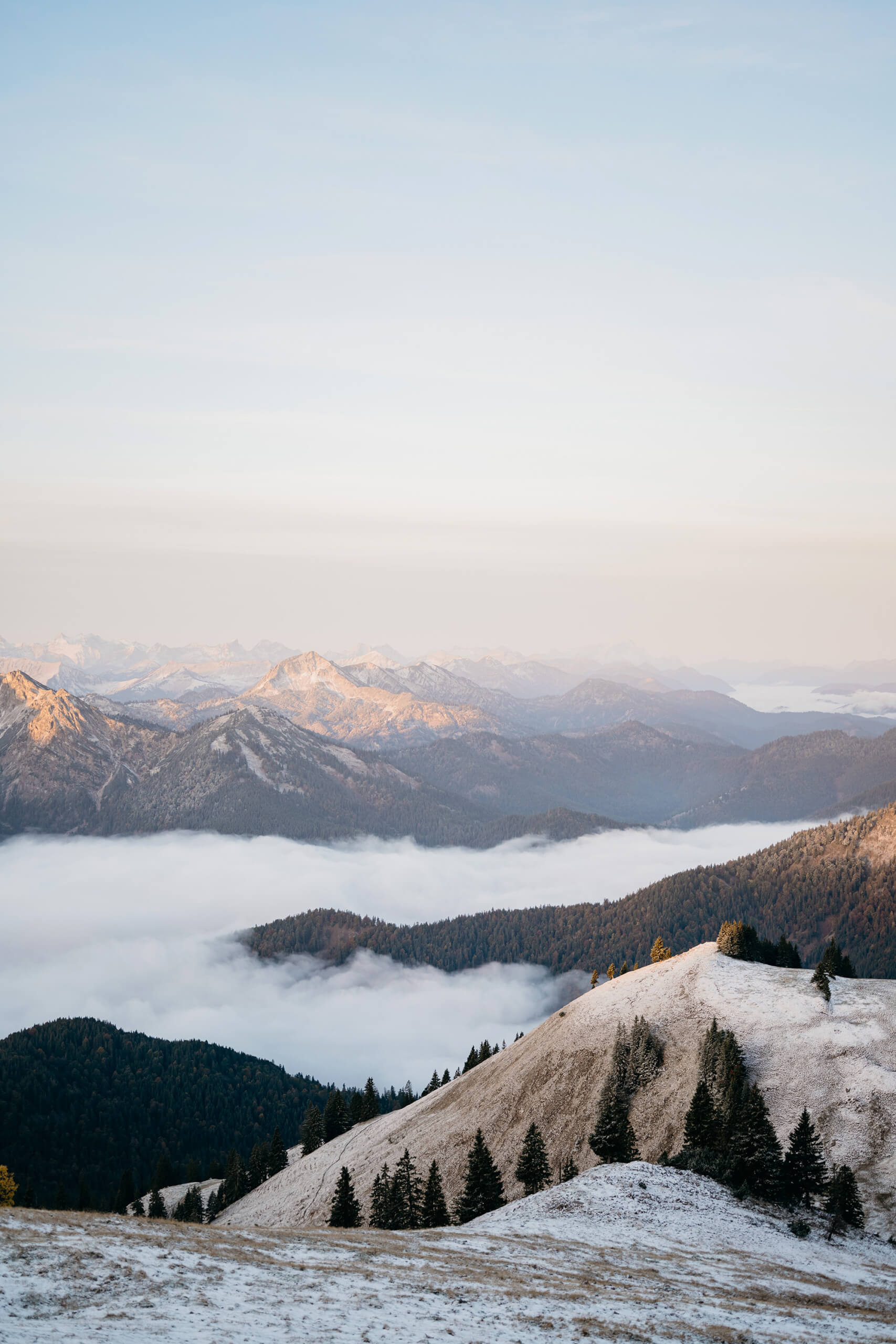 Styled Stock Society