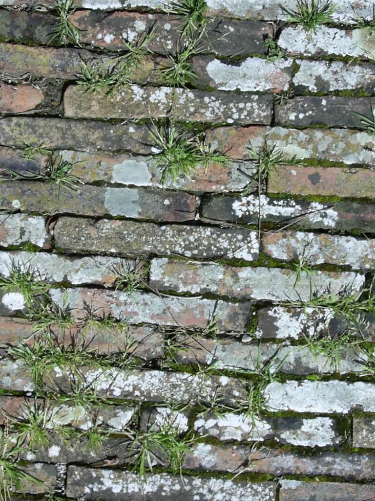 Mutter Erde Erdung – Elemente in Räumen