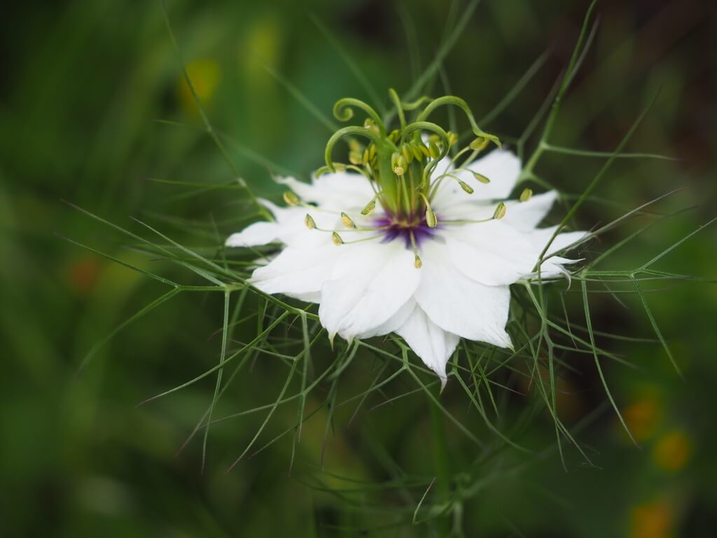 03401BA9 160D 4671 84AD C88C883BA118 1 105 c