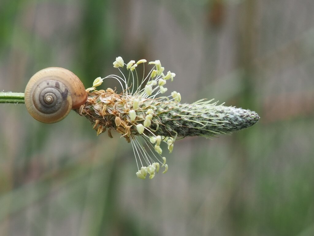 1A3F26BA 9D8F 44A8 A96B D2D86053DE3C 1 105 c