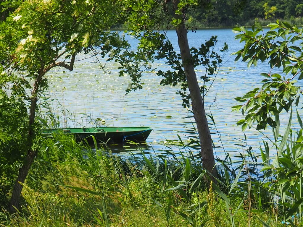 EC74D2BC B891 4C0C A165 61384EEF41A2 1 105 c