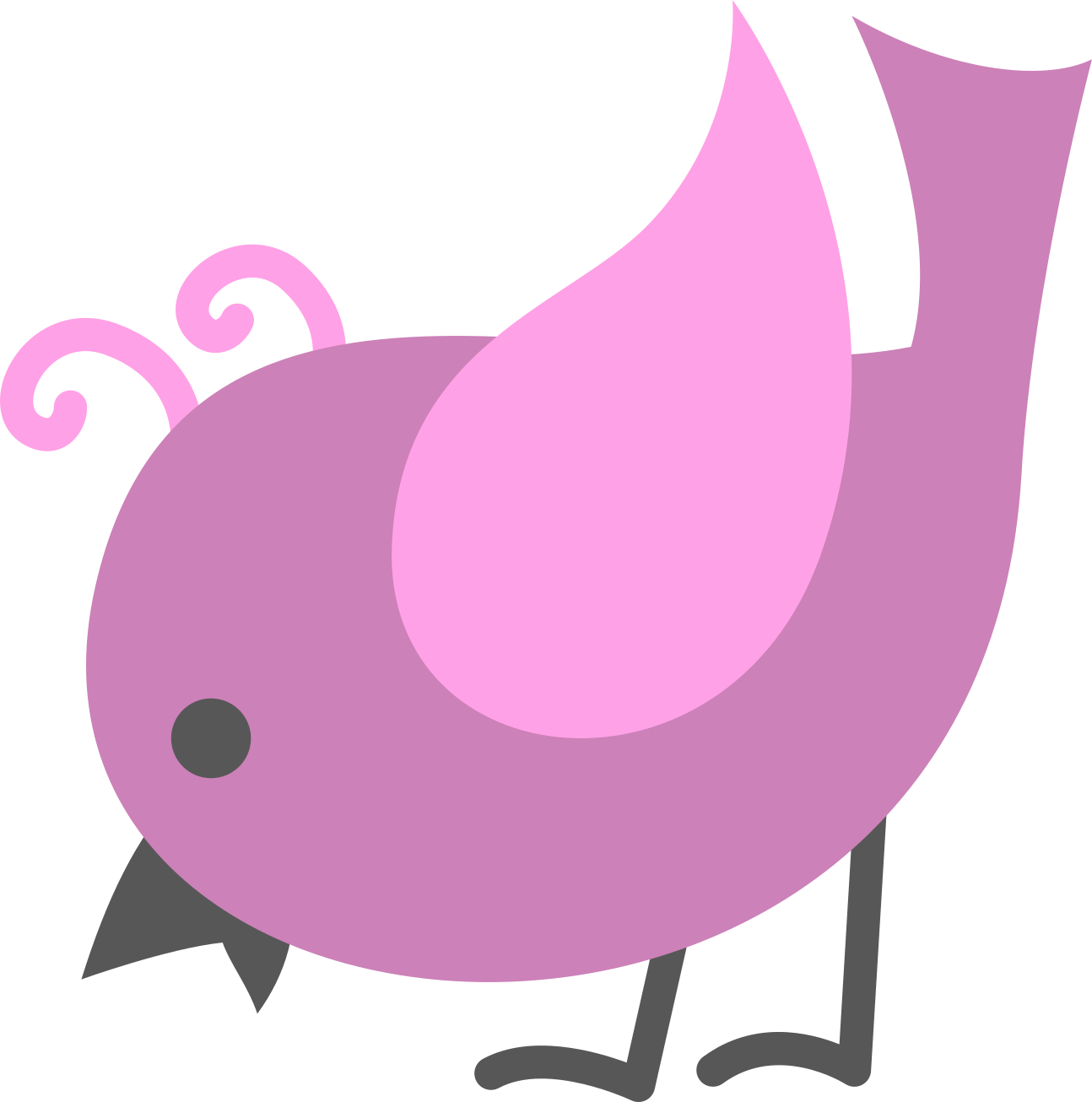 bird5