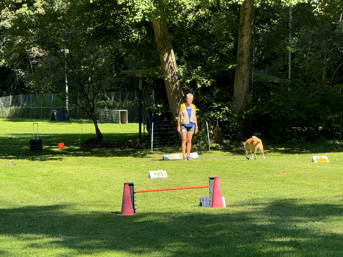 Premiere beim VfH Feuerbach: Unser erstes Rally-Obedience-Turnier