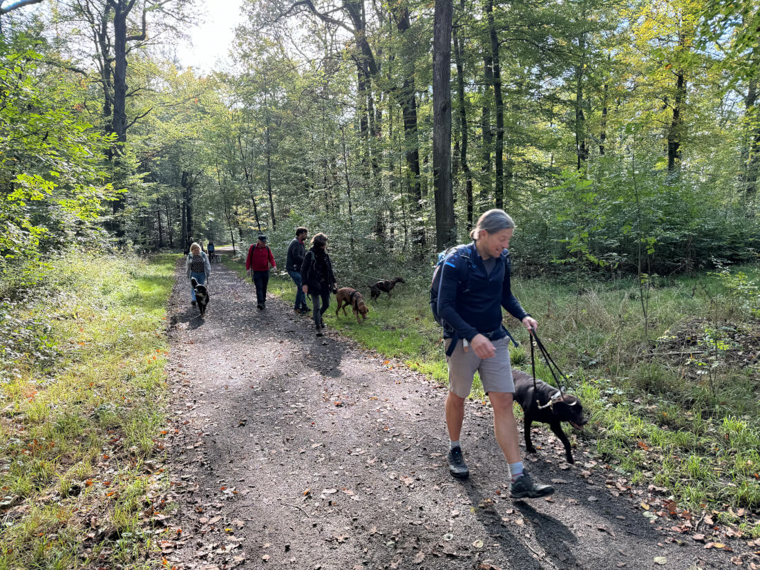 Eine Tradition lebt auf – Herbstwanderung rund um den Heukopf