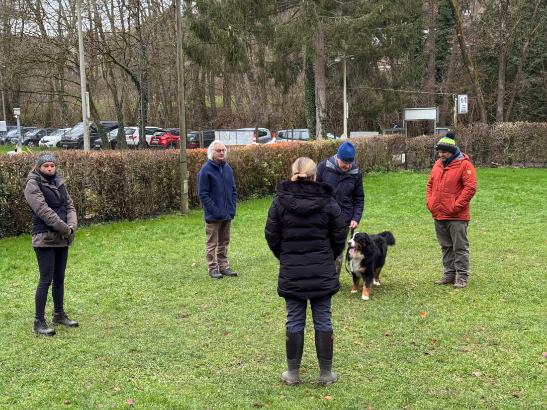 Winterprüfung 2024 – Hundesport bei Kälte und Nieselregen