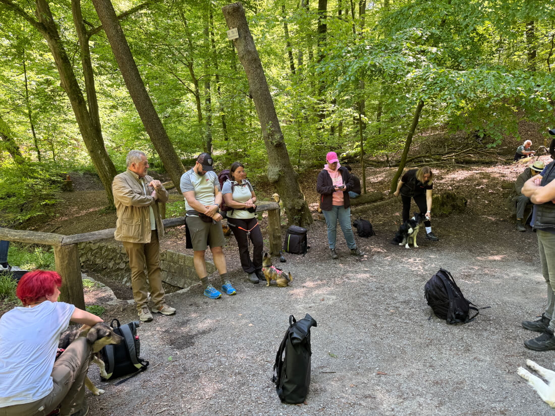 Frühjahrswanderung 2025 – Sonnenschein, gute Laune und Grillduft