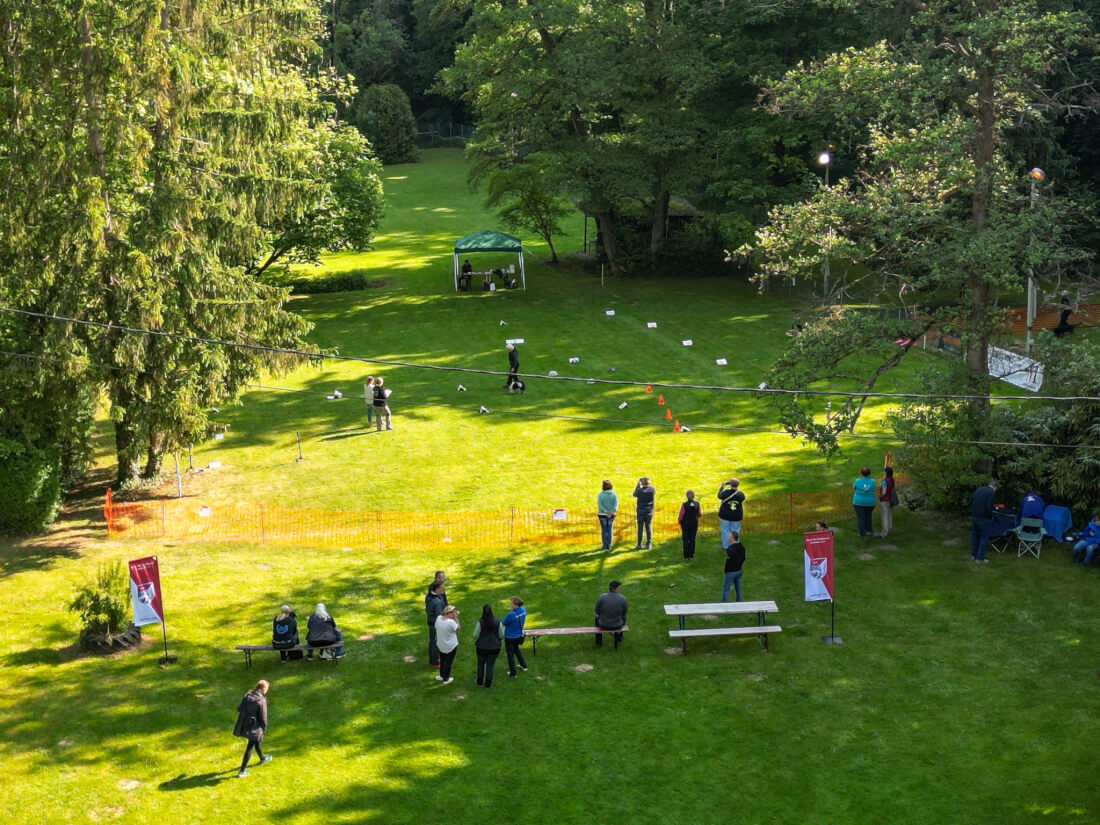 Gelungene Fortsetzung: Das 2. Rally-Obedience-Turnier beim VfH