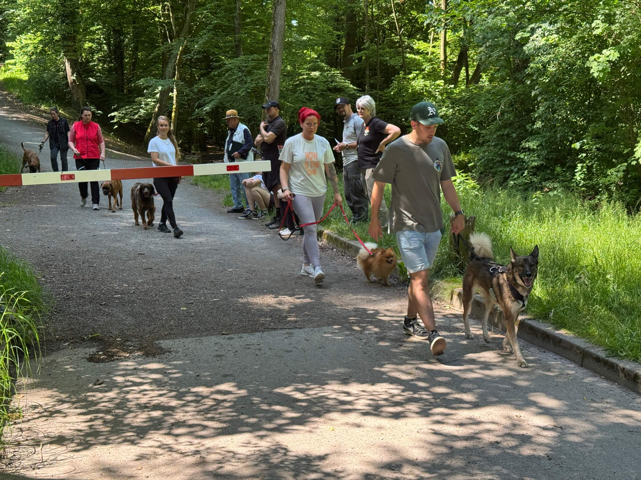 2025 05 31 Fruehjahrspruefung 00327