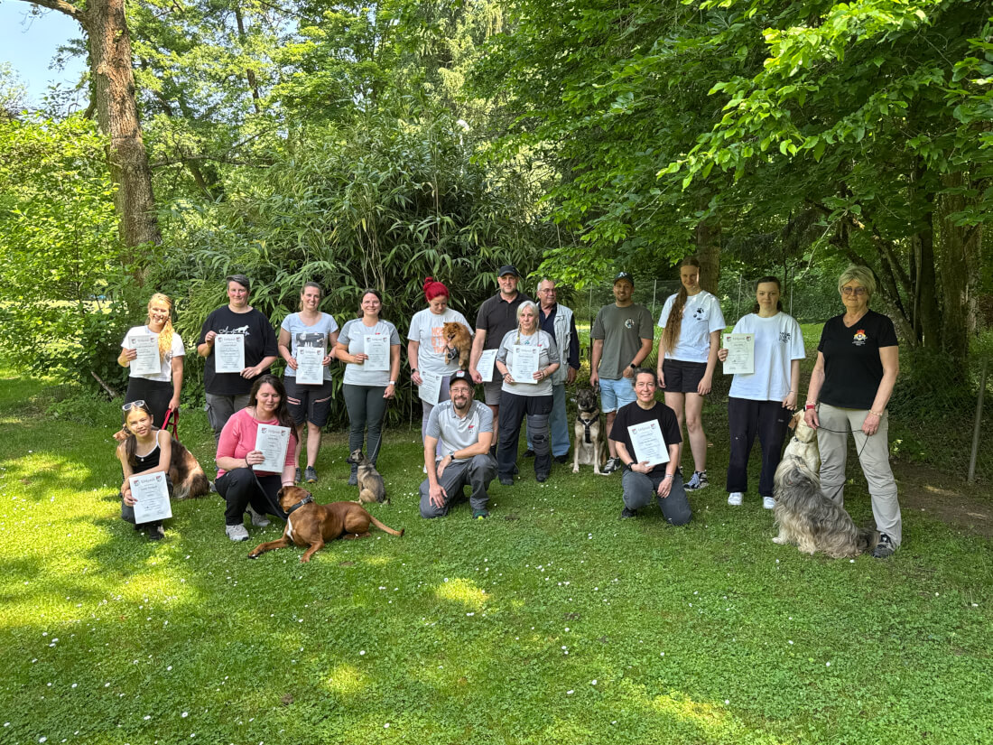 Frühjahrsprüfung 2025 – Erfolgreicher Prüfungstag beim VfH