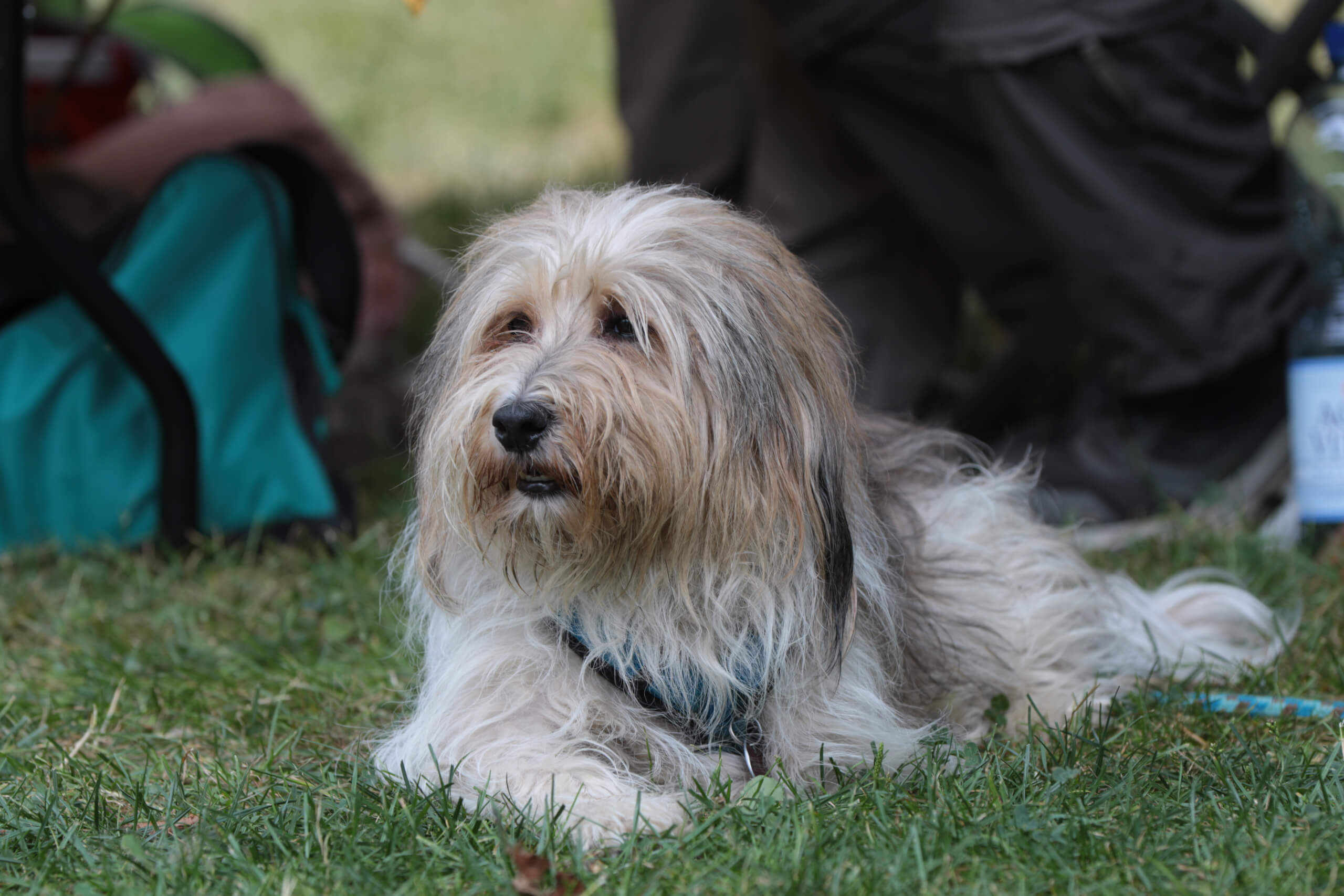 2025 07 19 Sommerfest 00001