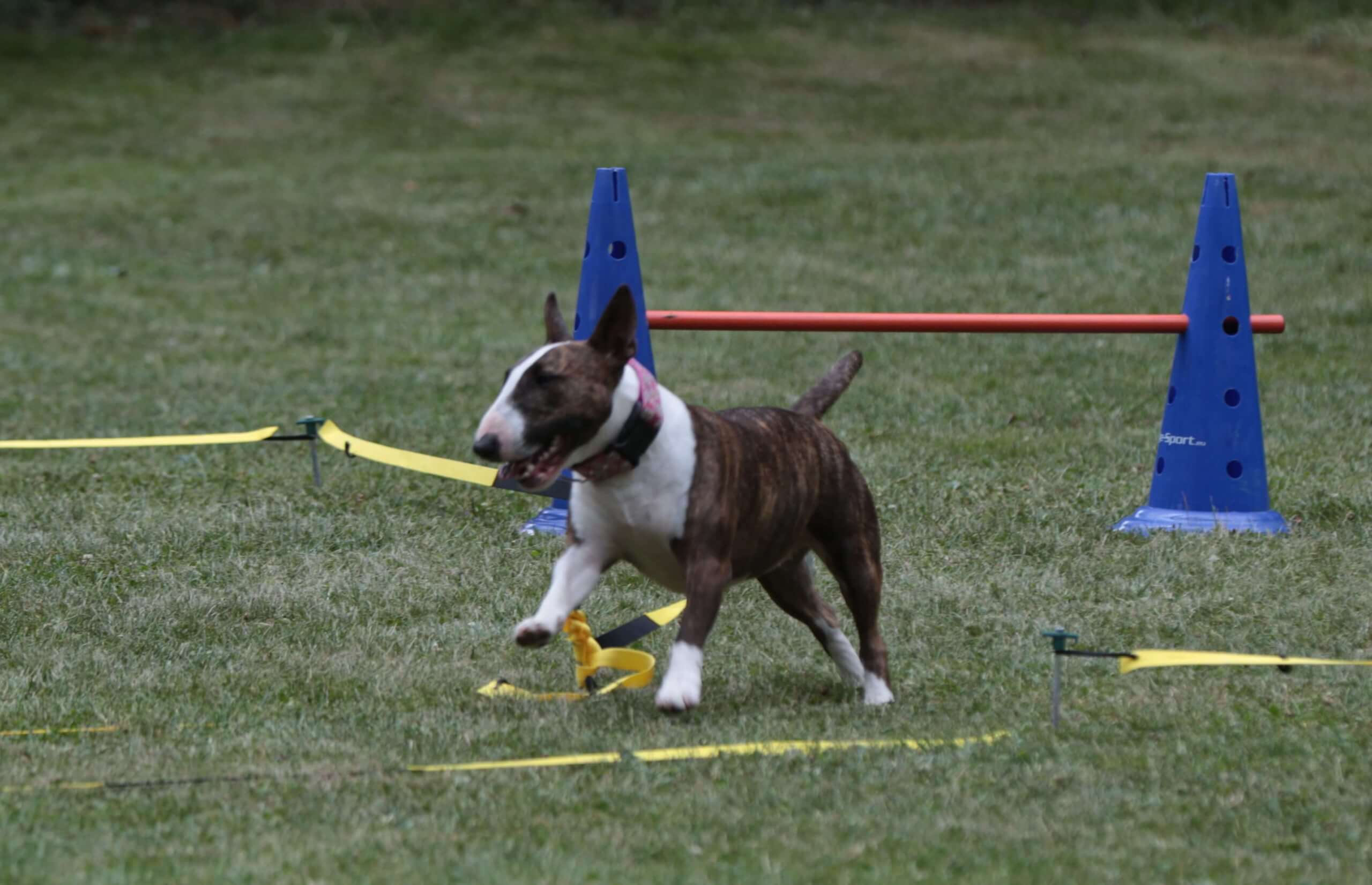 2025 07 19 Sommerfest 00007