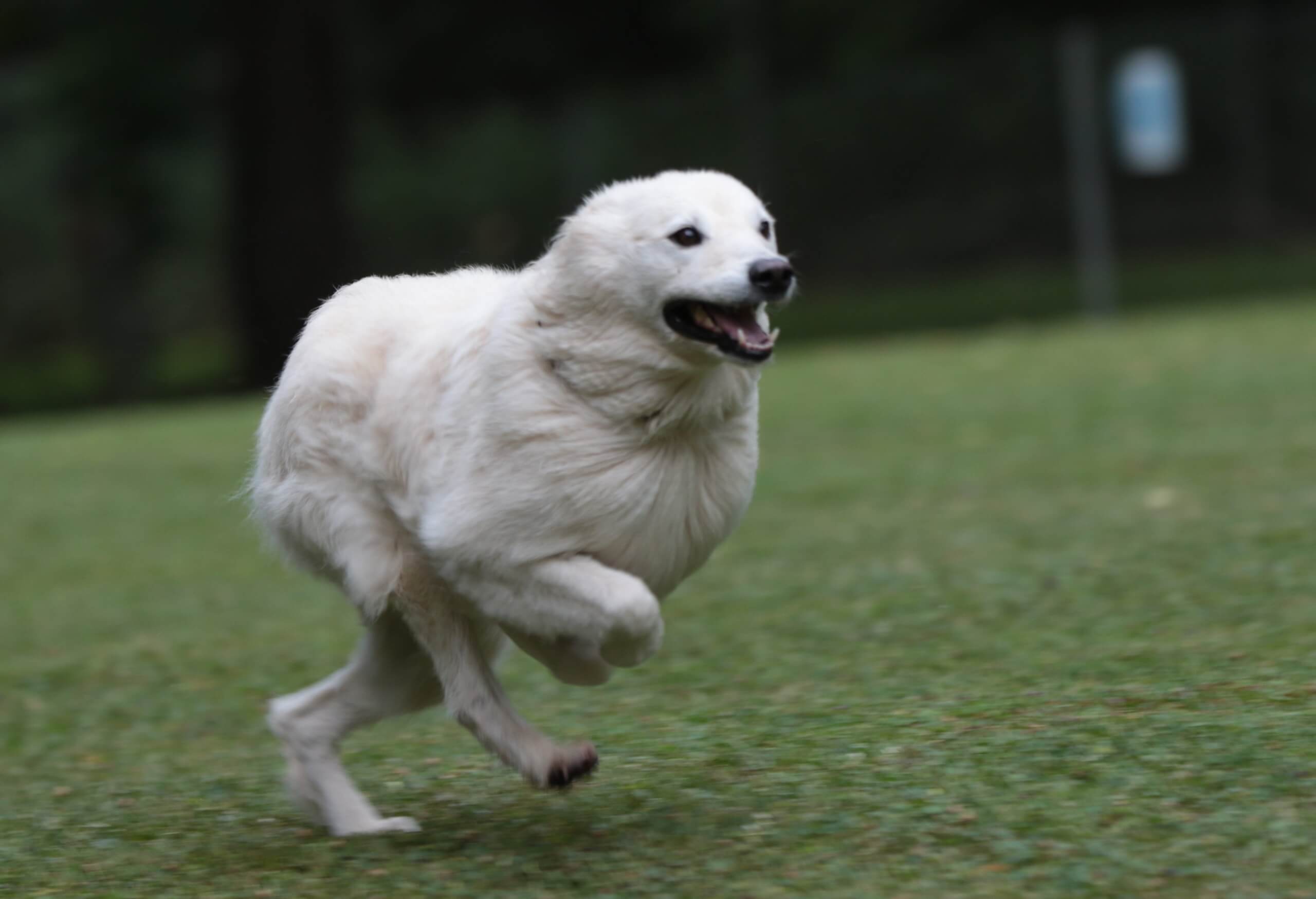 2025 07 19 Sommerfest 00076