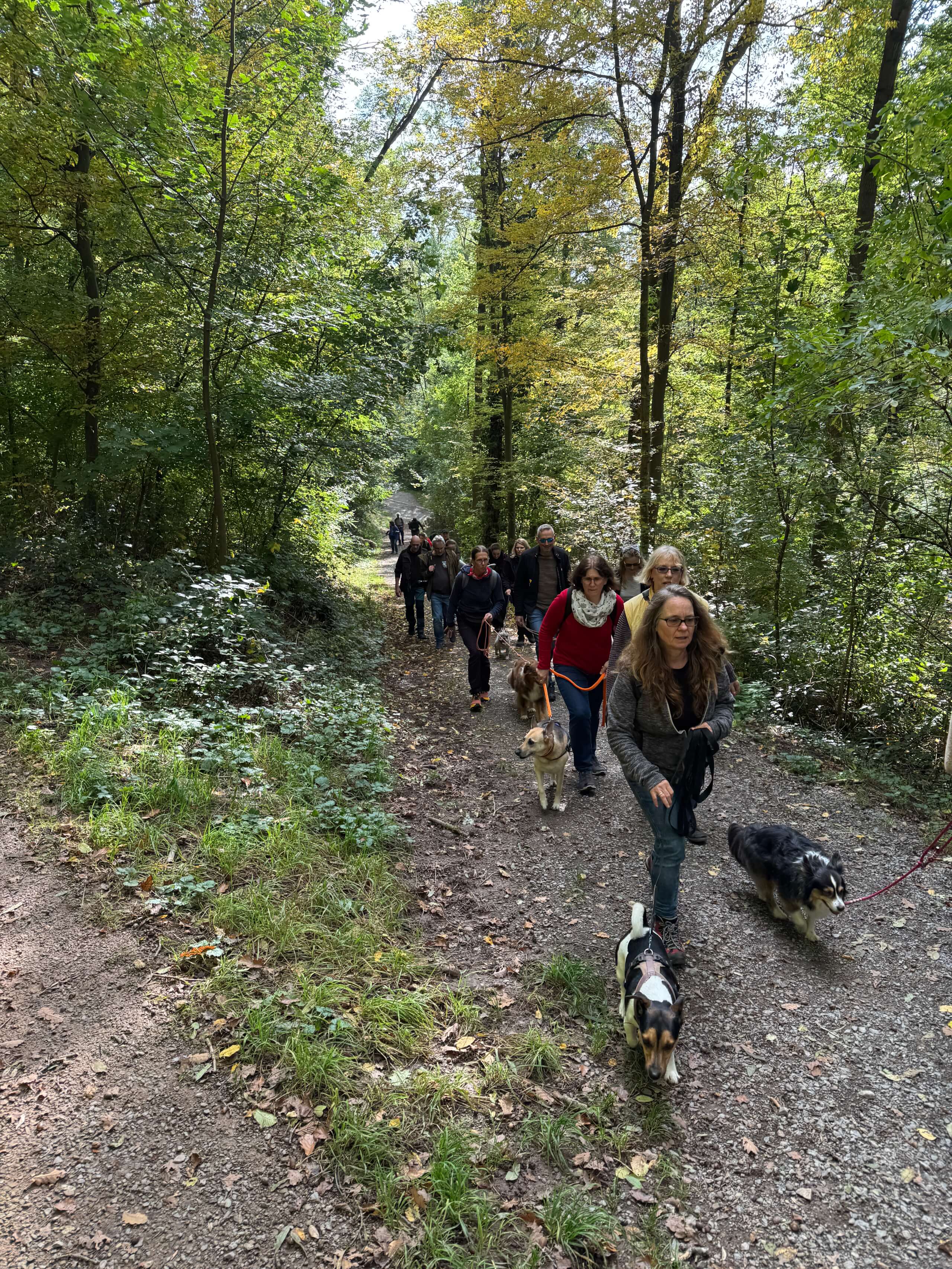 2025 10 11 Herbstwanderung 00083