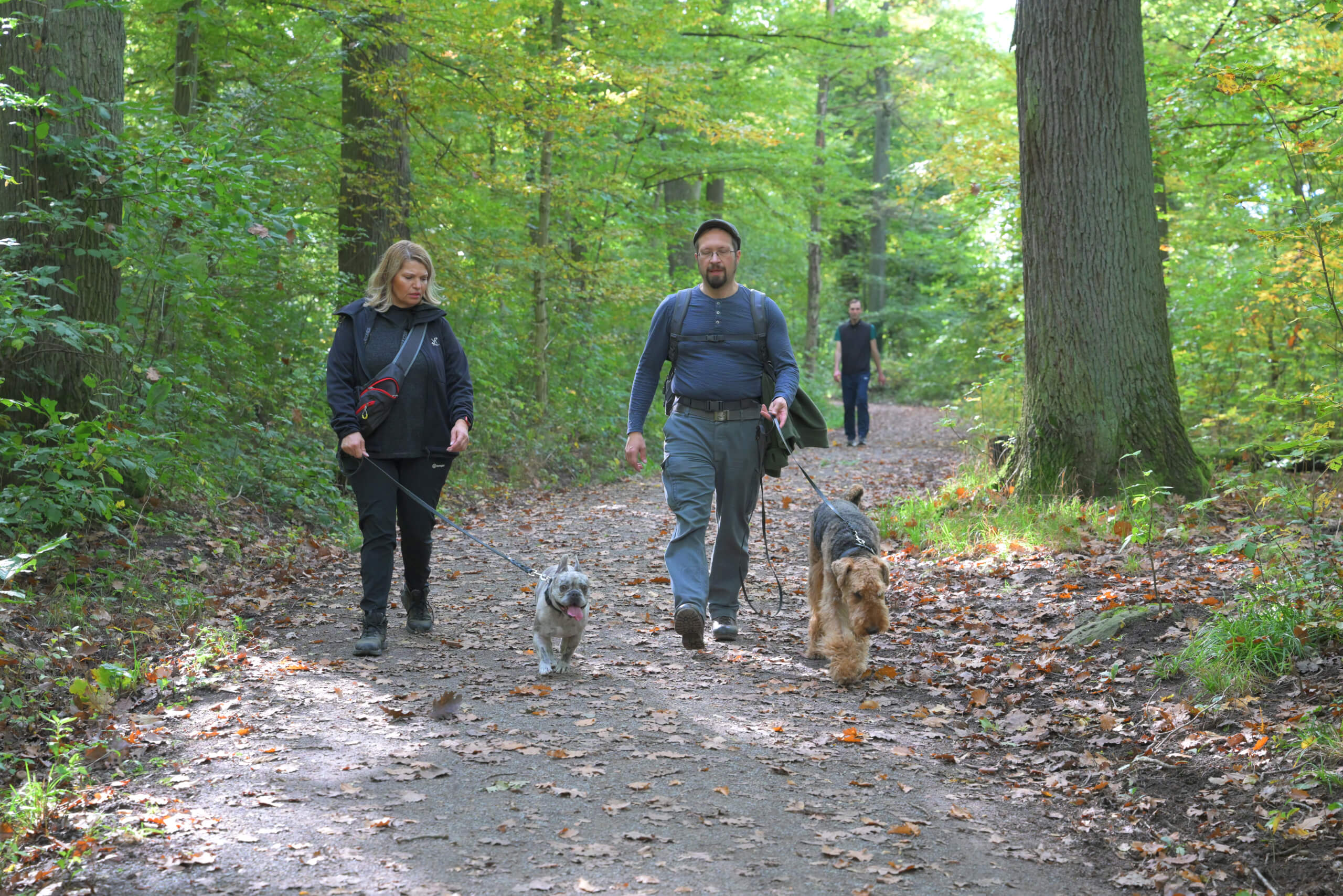 2025 10 11 Herbstwanderung 00087