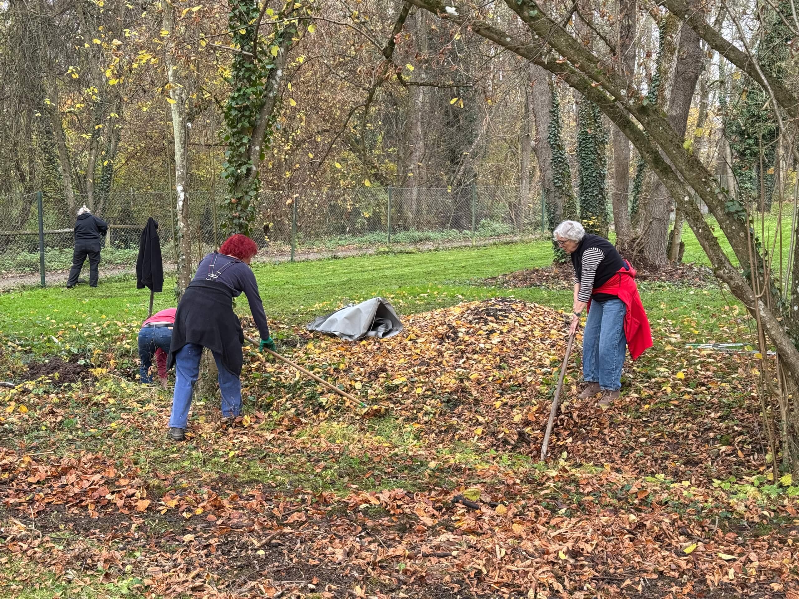 2025 11 15 Herbstarbeitsdienst 00004