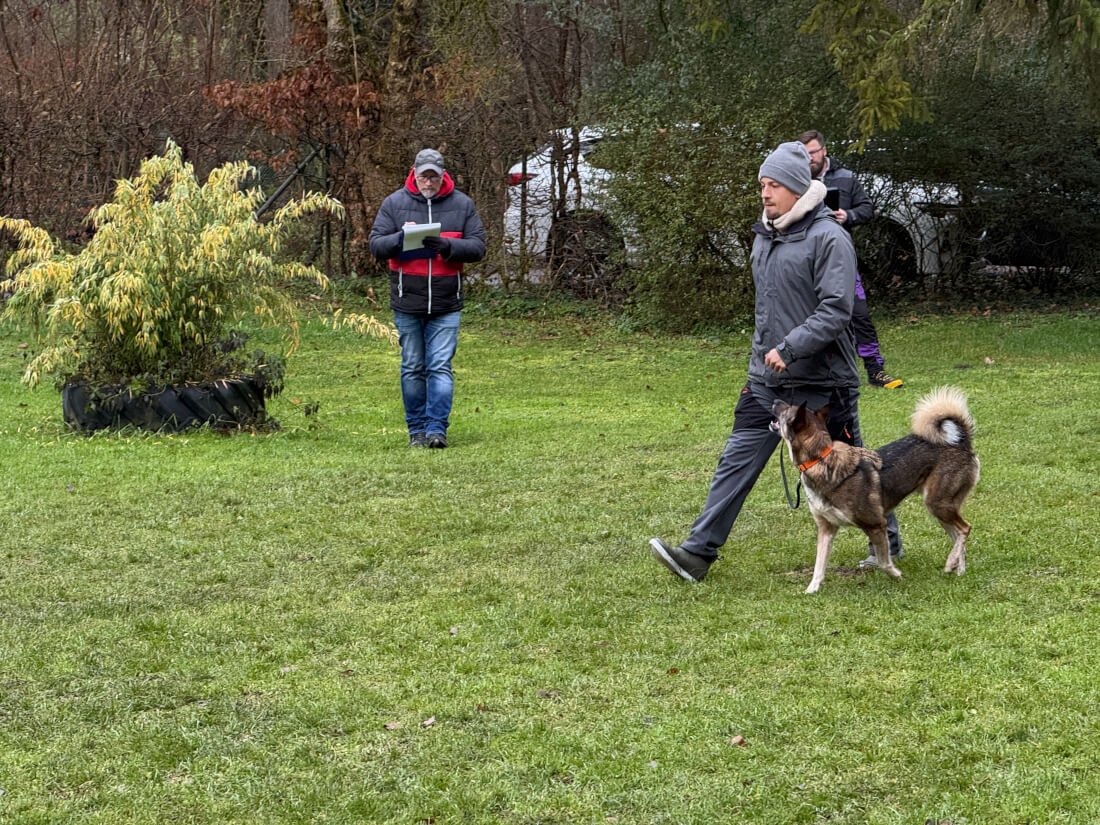 Winterprüfung 2025: Starke Leistungen im Dezember