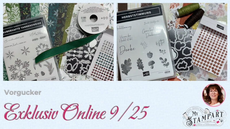 Exklusiv-Online Angebot von Stampin‘ Up! für 9/25