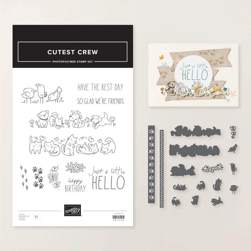 cutest crew stampin up mystampart cottbus Produktpaket